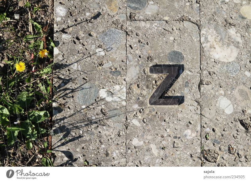 ... until z Plant Flower Grass Stone Concrete Metal Characters Z Esthetic Line Paving tiles Ground End Colour photo Exterior shot Pattern Structures and shapes