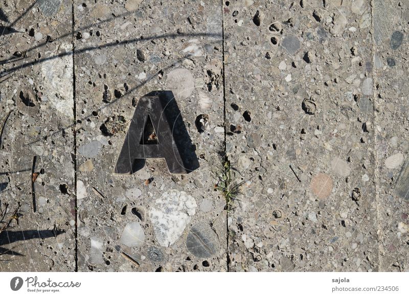 from a ... Grass Stone Concrete Metal Characters Esthetic Gray Line Ground Paving tiles Beginning Initial letter Colour photo Exterior shot Pattern