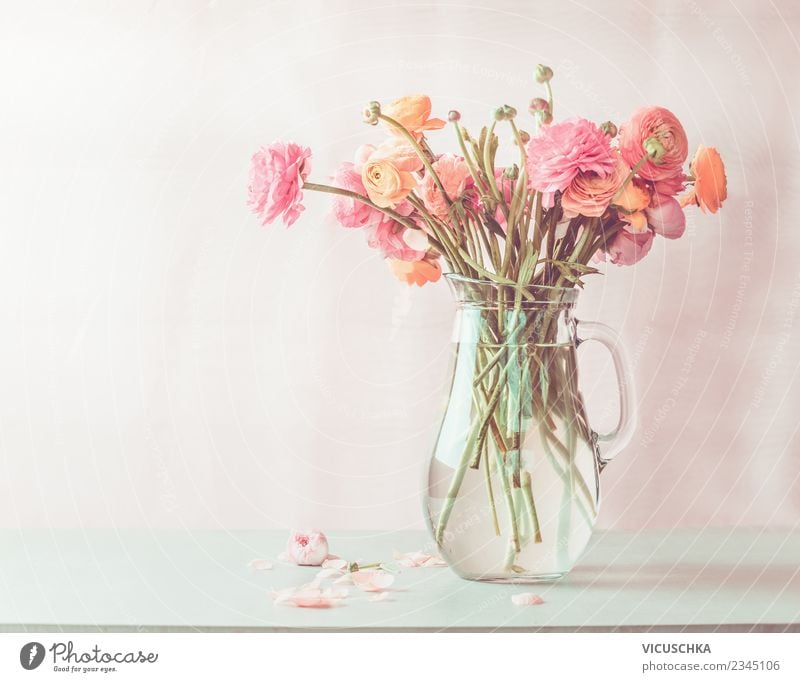 Pastel pink Ranunculus bouquet of flowers in glass jug on the table Lifestyle Style Design Summer Living or residing Interior design Decoration Table