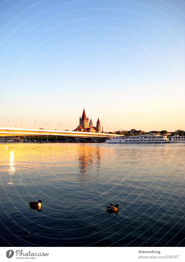 Ducks on the Danube Environment Nature Landscape Air Water Sky Cloudless sky Summer Weather Beautiful weather River Town Capital city Church Tower