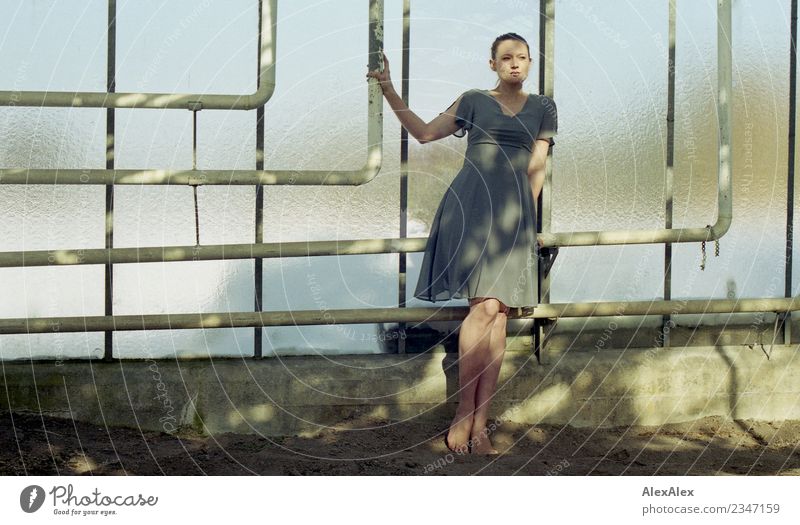 analogue portrait of a young woman standing barefoot in a glass greenhouse Elegant already Well-being Senses Greenhouse Iron-pipe Young woman