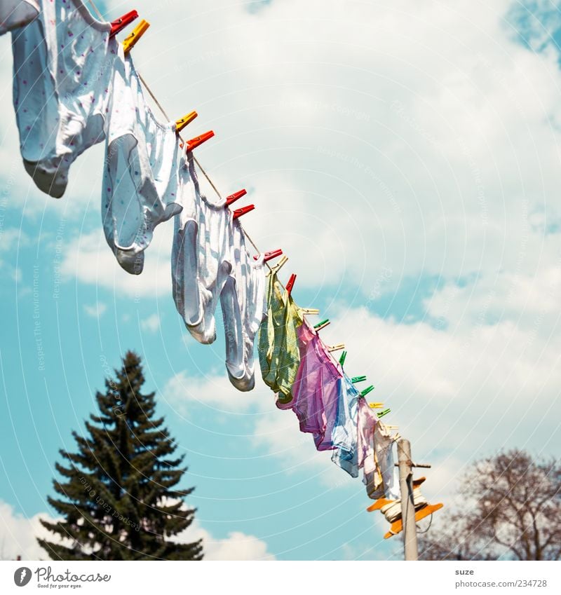 Mo, Di, Mi, Do, Fr ... Fragrance Summer Living or residing Sky Clouds Beautiful weather Wind Underwear Hang Fresh Clean Underpants Laundry Clothesline