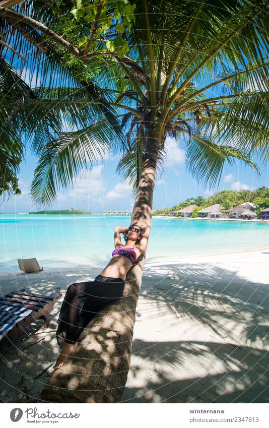 On a palm tree joy life happy moments love sun amazing happiness maldives blue water sand white gorgeous