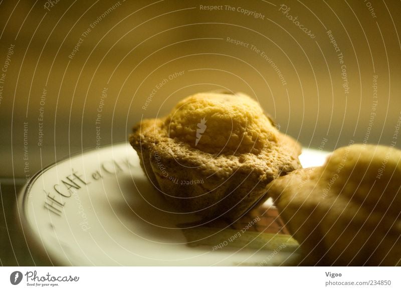 The mini cake Food Dough Baked goods Cake To have a coffee Plate Sweet Brown Yellow Gold Appetite Colour photo Interior shot Close-up Detail Deserted
