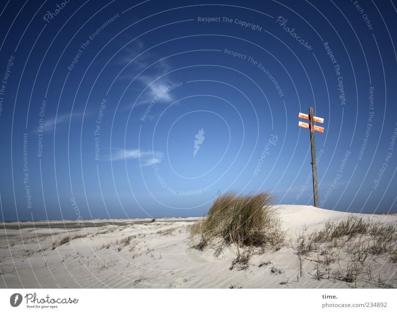 Spiekeroog, feel the sky! Far-off places Beach Ocean Waves Sand Sky Clouds Horizon Wind Grass Hill Signs and labeling Signage Warning sign Blue Dune Beach dune