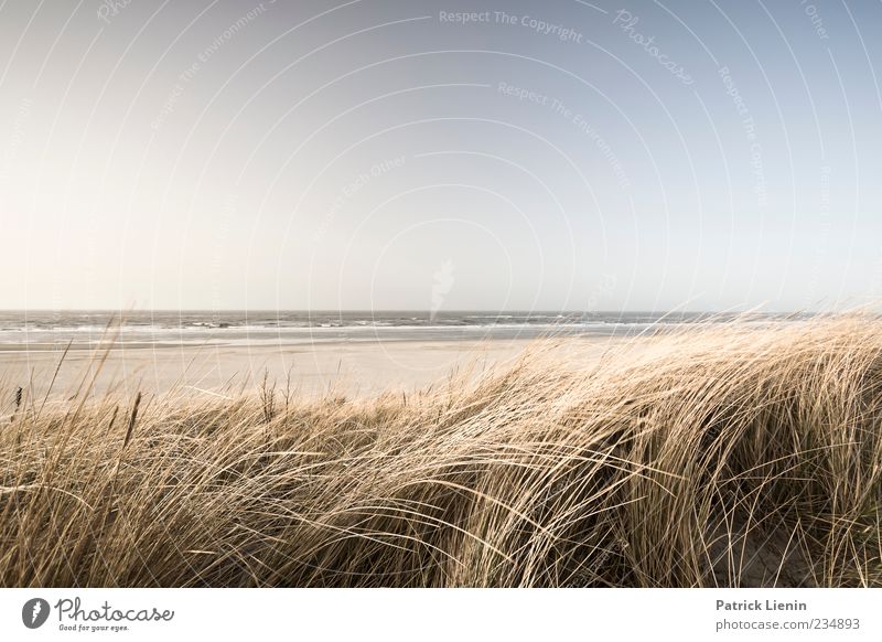 Spiekeroog | Sea Feel Far-off places Beach Ocean Waves Environment Nature Landscape Plant Sand Sky Horizon Sun Sunlight Weather Beautiful weather Wind Grass