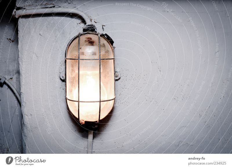 cellar lamp Wall (barrier) Wall (building) Concrete Glass Creepy Gray Cold Lamp Lamplight Cellar Dugout Oval White Damp Cellar wall Cable Electricity
