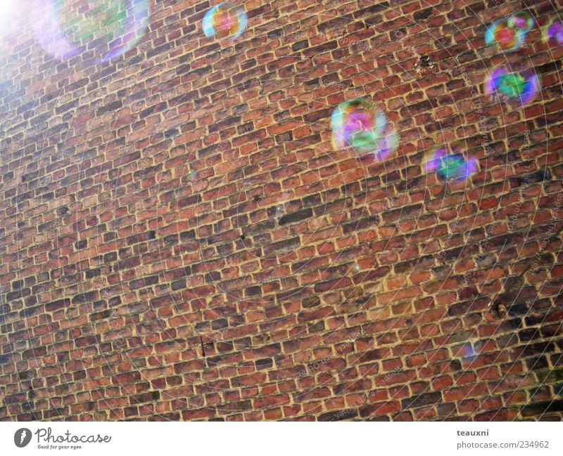 bubbly Wall (barrier) Wall (building) Soap bubble Flying Calm Transience Colour photo Brick wall Glimmer Hover Reflection Copy Space bottom Sunbeam Deserted