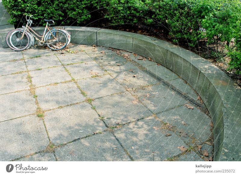 round course Bicycle Parking area Break Round Concrete Hedge Bench Colour photo Exterior shot Light Shadow Contrast Deserted 2