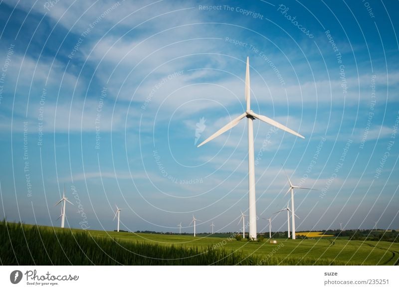 A lot of wind for nothing Energy industry Renewable energy Wind energy plant Environment Nature Landscape Air Sky Climate Climate change Beautiful weather