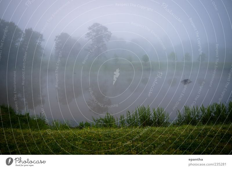 Pond with Fog Environment Nature Landscape Water Weather Grass Park Moody Relaxation Cold Calm Beautiful Subdued colour Exterior shot Deserted Copy Space top