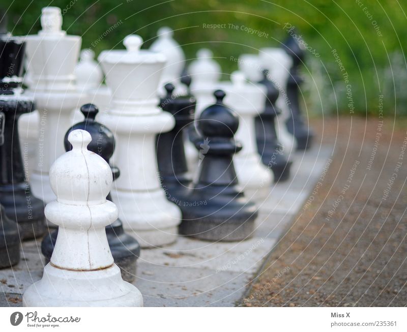 garden chess Leisure and hobbies Playing Board game Chess Garden Park Concentrate Planning Chess piece Chessboard Intellect Black White outdoor chess
