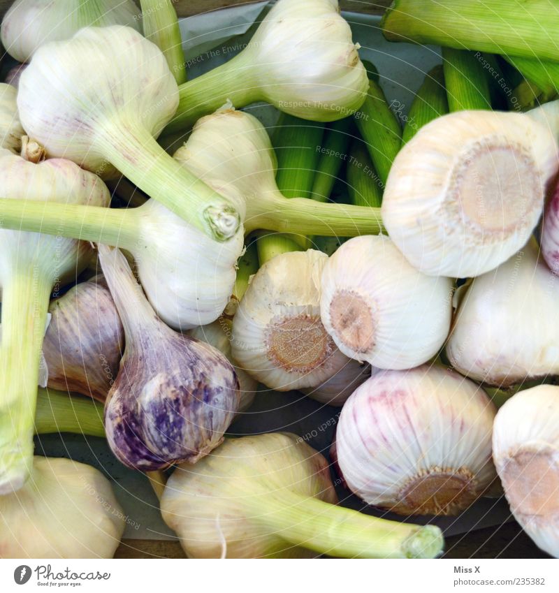 garlic Food Vegetable Herbs and spices Nutrition Organic produce Vegetarian diet Fragrance Fresh Healthy Delicious Garlic Garlic bulb Bulb Farmer's market