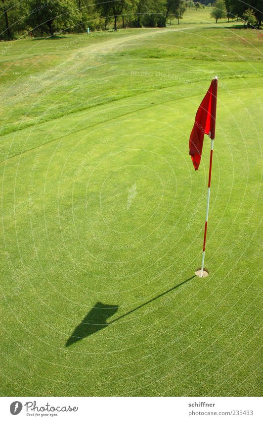 HERE - is the most beautiful blade of grass Golf Green Competition Target Golf course Ball sports Single-minded Flag Hollow Confine Success Grass surface Putt