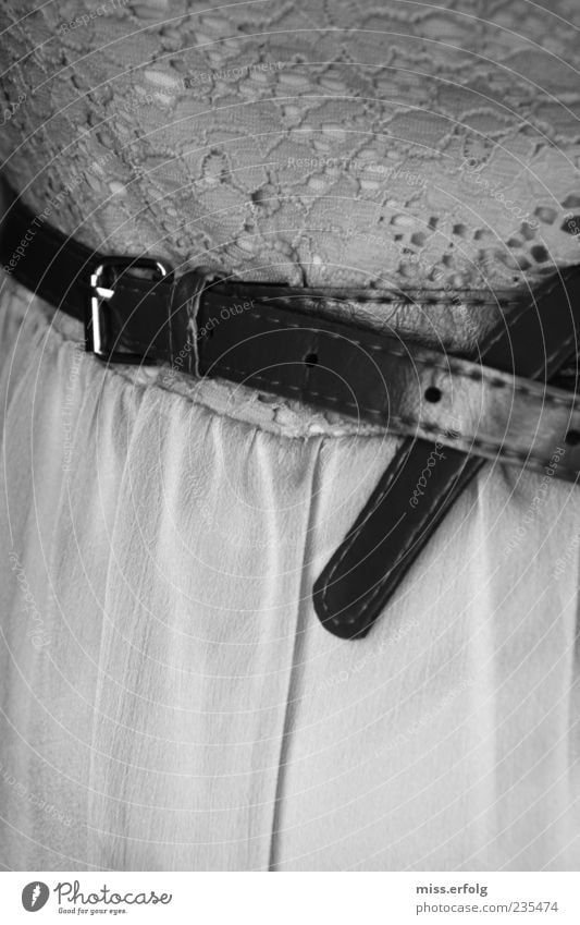 Belt Rose Clothing Dress Old Exceptional Thin Style Belt buckle Close-up Detail Gray Black Black & white photo Deserted Copy Space top Copy Space bottom