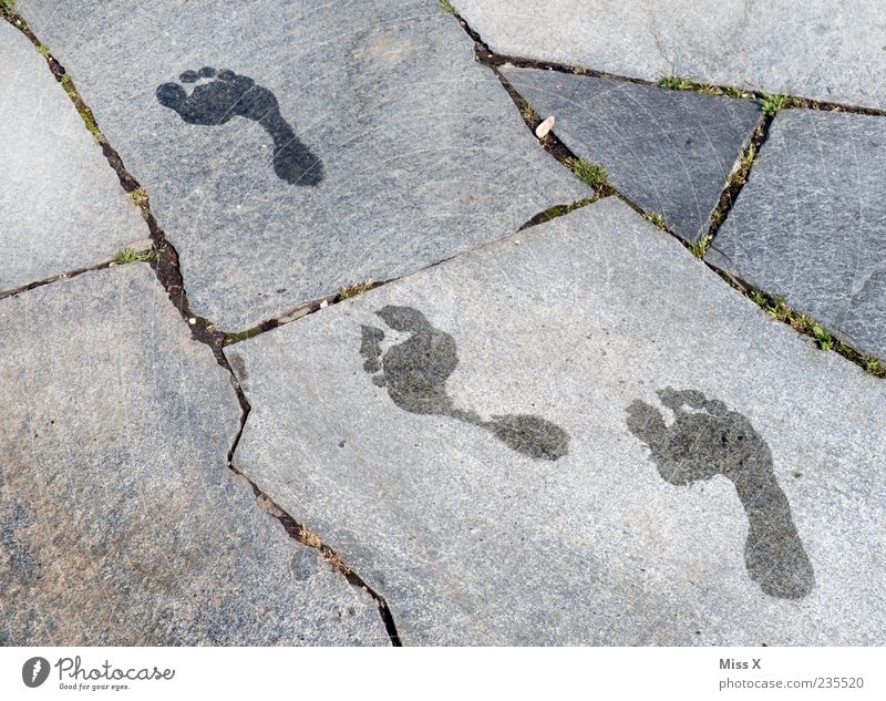 barefoot Summer Water Walking Wet Barefoot Footprint Colour photo Subdued colour Exterior shot Pattern Structures and shapes Deserted Bird's-eye view