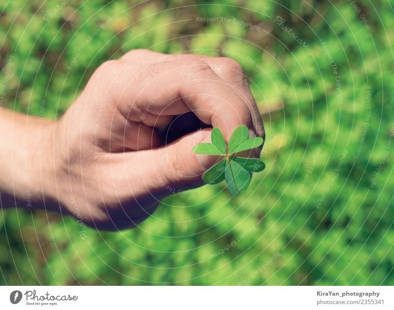 Hand holds agreen leaf of clover Lifestyle Happy Summer Decoration Feasts & Celebrations Man Adults Fingers Nature Plant Grass Leaf Happiness Natural Green Hope