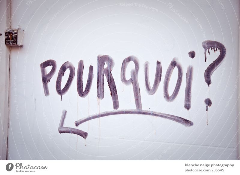 pourquoi? Art Wall (barrier) Wall (building) Facade Door Characters Write Sadness Concern Lovesickness Pain Longing Disappointment Loneliness Fear of the future