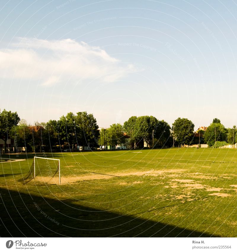half Sporting Complex Football pitch Sporting grounds Sky Beautiful weather Tree Meadow Green Break Sports Goal Soccer Colour photo Exterior shot Copy Space top