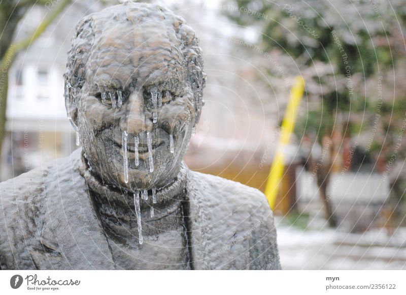 100 | Frostbite Human being Man Adults Face Sculpture Monument Metal Drop Freeze Smiling Looking Creepy Cold Statue Icicle Frozen iciness Hail Sputum Bolshie