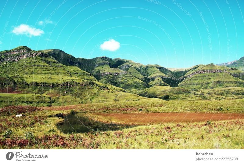 the great drakensberg mountains Vacation & Travel Tourism Trip Adventure Far-off places Freedom Nature Landscape Sky Clouds Tree Bushes Mountain