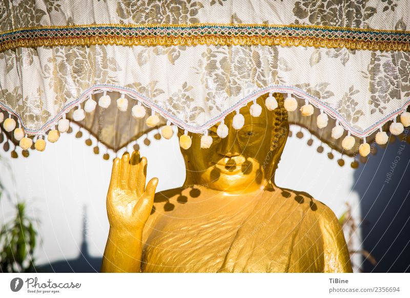 Buddha in the shade Vacation & Travel Far-off places Sightseeing Summer Sculpture Sign Esthetic Change Contentment Statue of Buddha Laos Gold Colour photo