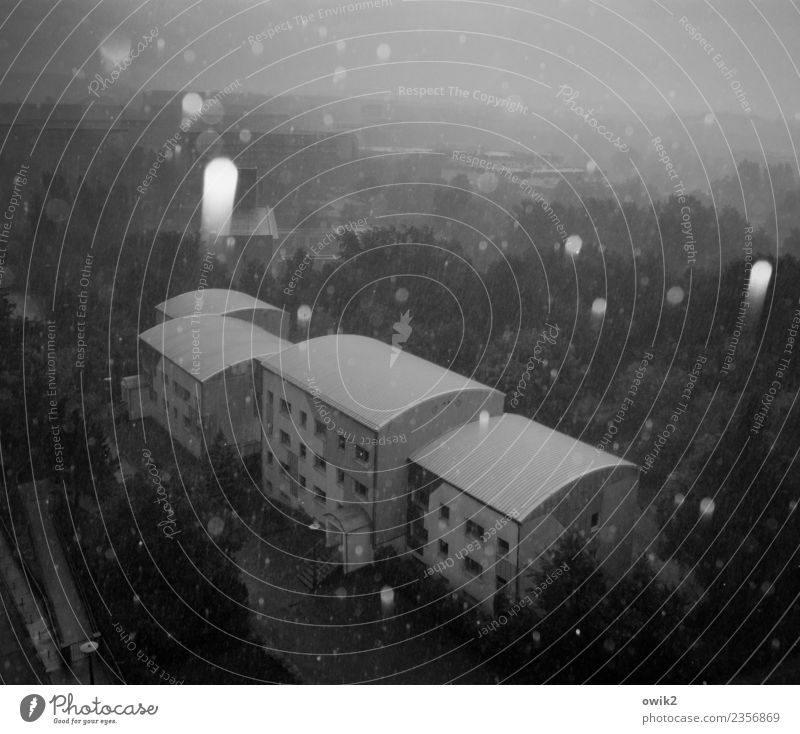 gravitation Landscape Winter Beautiful weather Ice Frost Snowfall Tree House (Residential Structure) Cold To fall Gray Prefab construction Black & white photo