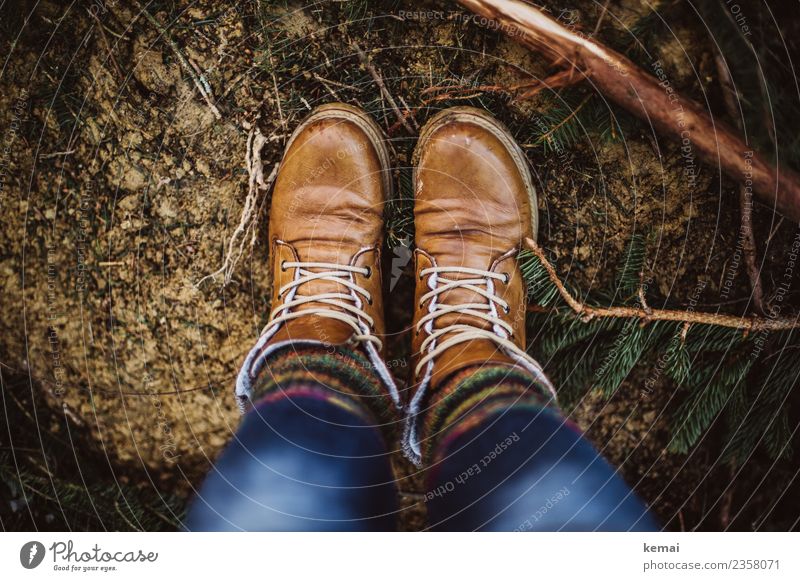 Brown boots and wool socks Harmonious Well-being Relaxation Calm Leisure and hobbies Adventure Freedom Life Feet 1 Human being Nature Earth Spring Plant
