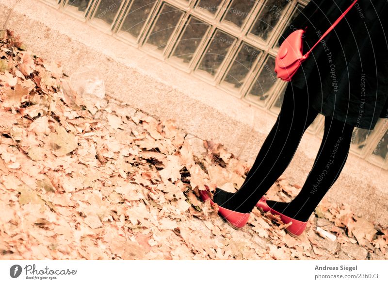 last exit Human being Feminine Woman Adults Legs 1 Autumn Leaf Coat Tights Accessory Handbag Footwear Stand Retro Red Black Glass block Colour photo