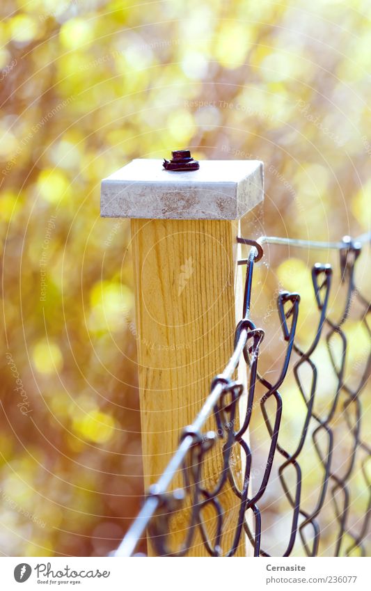 Holding the Sunlight Manmade structures Esthetic Simple Curiosity Brown Yellow Emotions Moody Fence Blur White Wood Metal Colour photo Subdued colour
