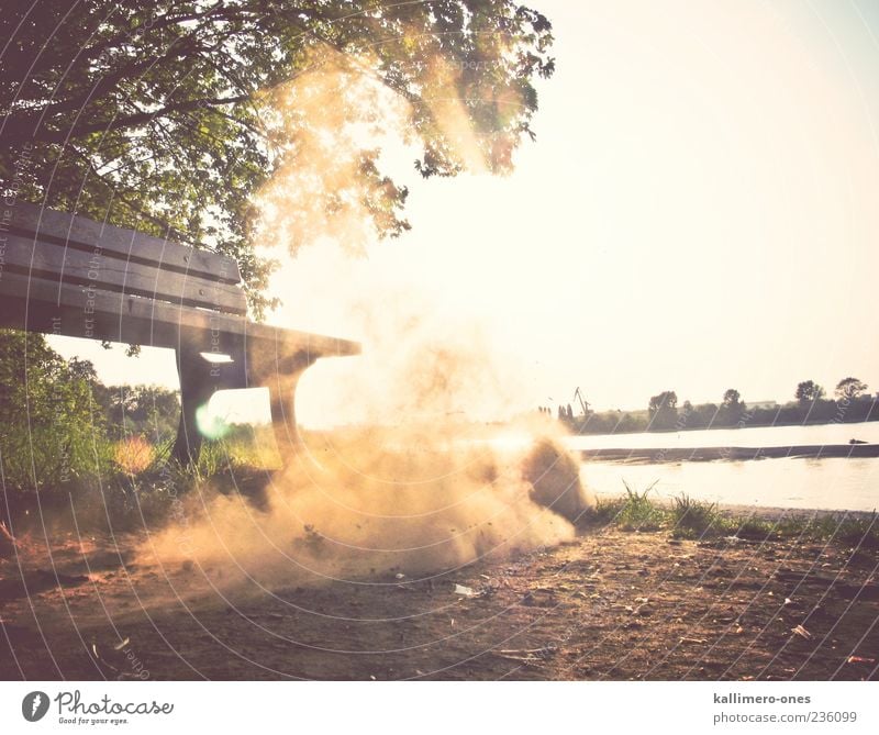 The Summer Dust Sand Sun Sunlight Beautiful weather Tree Grass River bank Bench Bright Dry Brown Green Colour photo Exterior shot Day Twilight Light Shadow