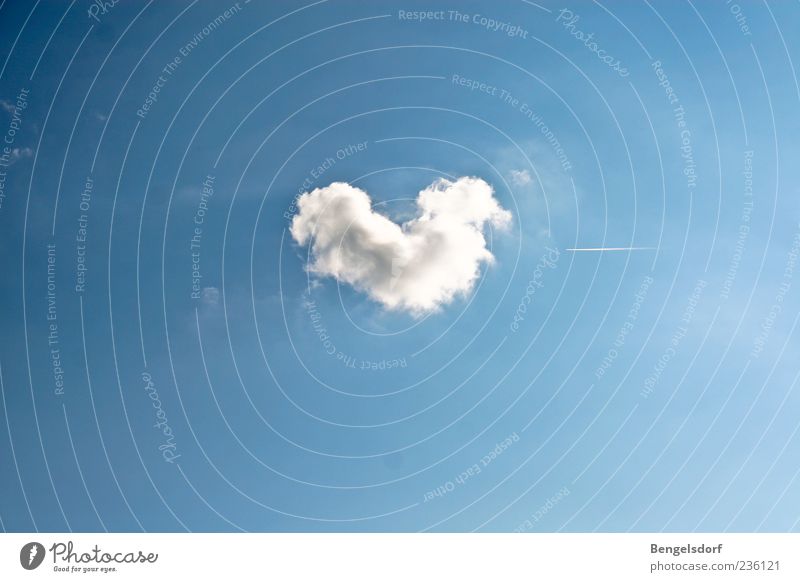 summer love Clouds Beautiful weather Emotions Heart Blue Summer Human being Symbols and metaphors Kitsch Colour photo Exterior shot Copy Space top