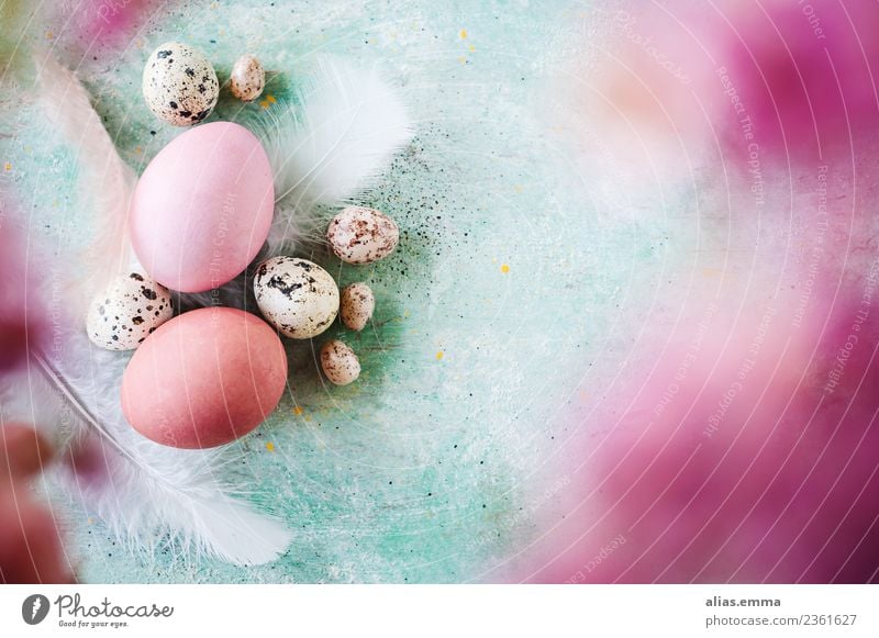 Kunterbunte Easter greetings Easter egg Multicoloured Pink Turquoise Egg Colour Blur April Spring Fresh Copy Space Card