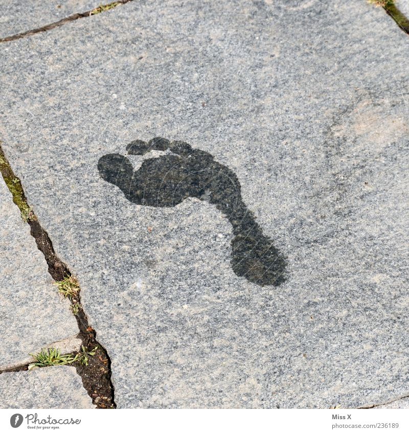 barefoot Feet Wet Barefoot Tracks Footprint Imprint Toes Water Stone slab Colour photo Subdued colour Exterior shot Deserted Copy Space left Copy Space right