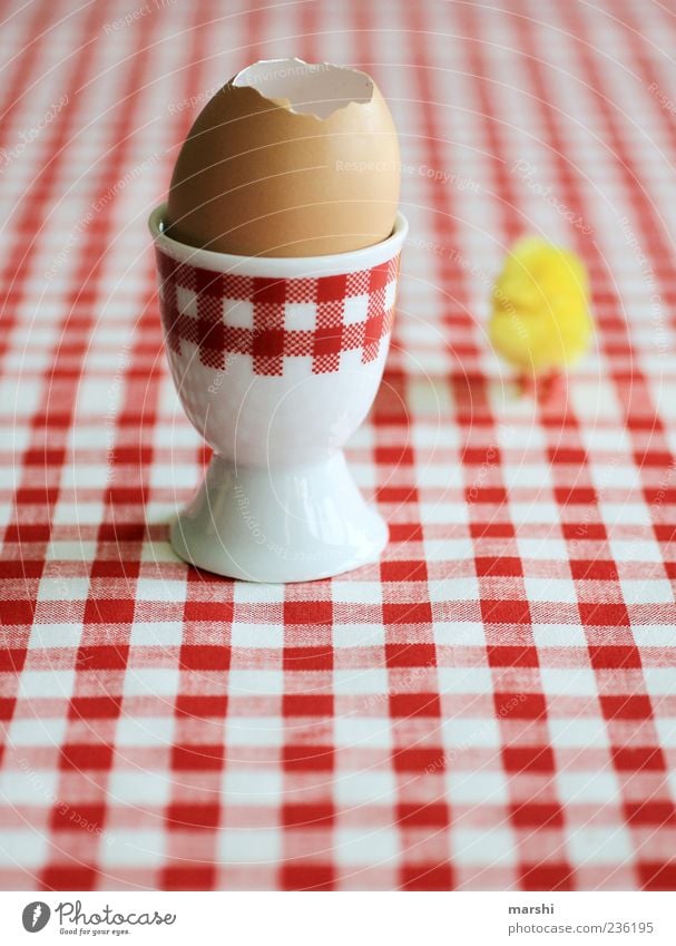chicken run Food Nutrition Breakfast Crockery Red White Barn fowl Symbols and metaphors Checkered Egg cup Eggshell Fresh Chick Bird Colour photo Tablecloth
