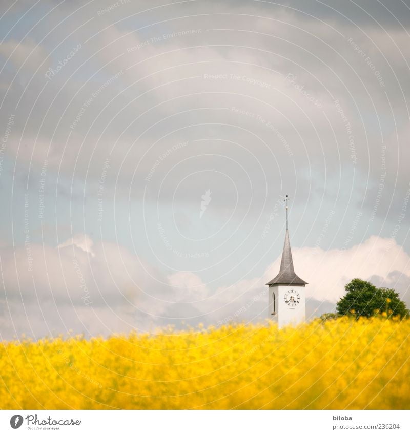regional church Sky Clouds Summer Agricultural crop Hill Church Manmade structures Building Architecture Yellow Gray White Calm Belief Religion and faith Hope