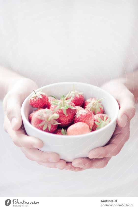 fraises Food Fruit Nutrition Organic produce Slow food Bowl Summer Red White Strawberry To hold on Hand Delicious Sweet Colour photo Subdued colour