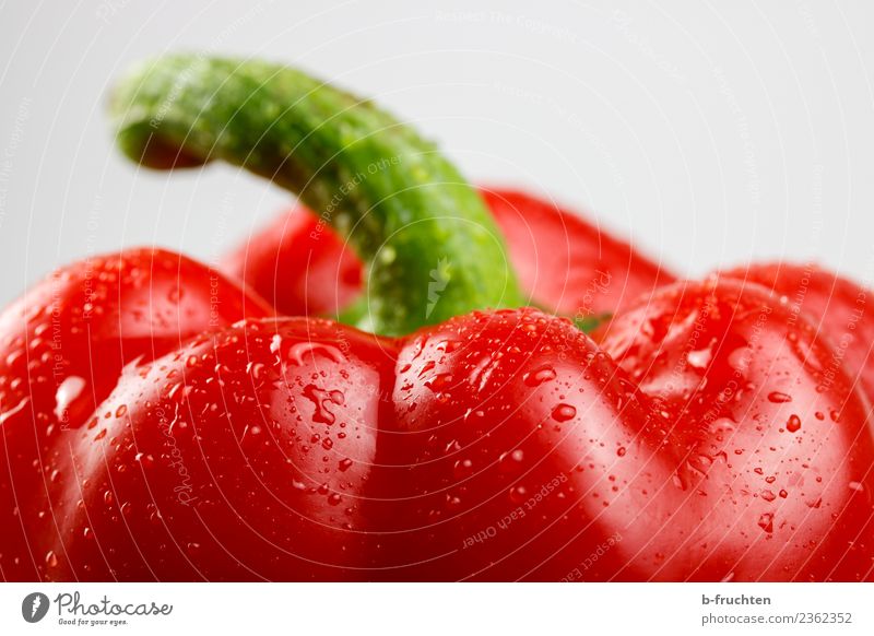 Fresh red pepper Vegetable Nutrition Drops of water Healthy Rich Beautiful Feminine Red Vitamin Pepper Mature Vitamin-rich Ingredients Harvest Colour photo