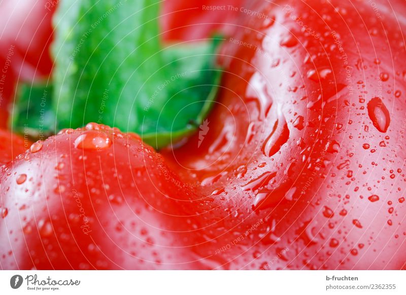 Paprika fresh Vegetable Healthy Shopping Fresh Red Desire Pepper Drops of water Tasty Vitamin To enjoy Eroticism Feminine Colour photo Studio shot