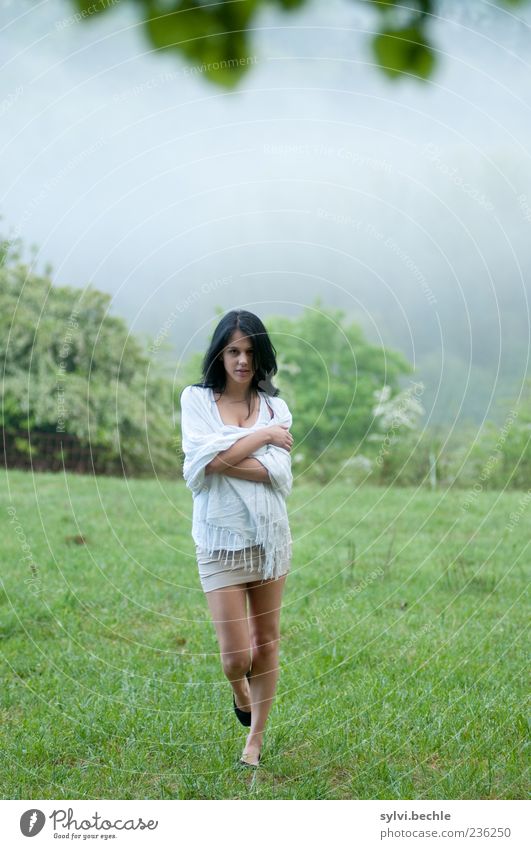 Morning Fog IV Elegant Beautiful Human being Feminine Young woman Youth (Young adults) 1 Nature Spring Tree Grass Leaf Meadow Black-haired Freeze Going Walking