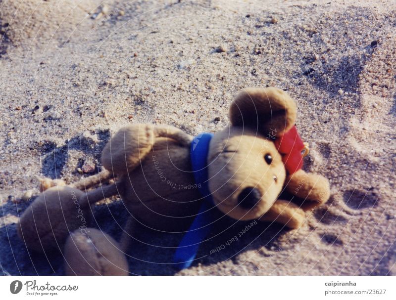 have a nap Cuddly toy Beach Sleep Relaxation Cute Mouse