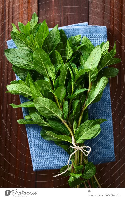Fresh Mint Herbs and spices Tea Plant Leaf spearmint Bundle remedy medicine Aromatic Ingredients Fragrant sprig flavor healthy herbal Raw food cooking condiment