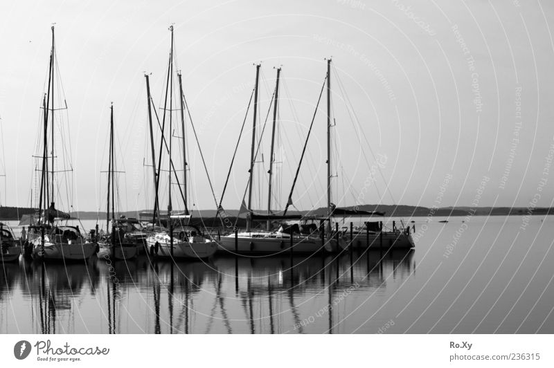 at the port Vacation & Travel Ocean Nature Landscape Water Summer Coast Baltic Sea Black & white photo Exterior shot Twilight Light Shadow Sailboat Harbour