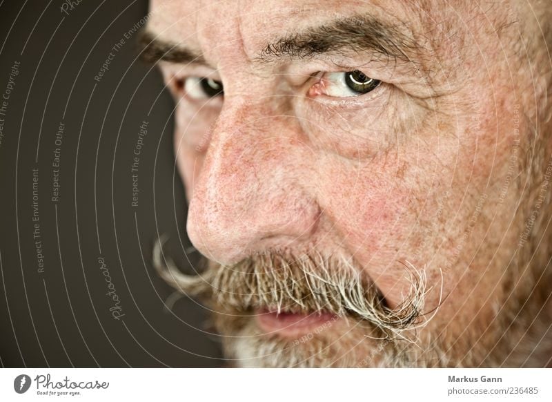 Old man Human being Masculine Man Adults Male senior Senior citizen Head 1 60 years and older Looking Natural Wisdom Colour photo Interior shot Studio shot