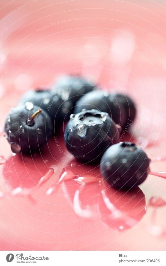 blueberry vinegar Fruit Fresh Blueberry Healthy Pink Drop Glittering Delicious Close-up Copy Space top Copy Space bottom Shallow depth of field Drops of water