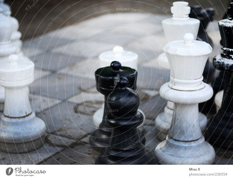 outdoor chess Leisure and hobbies Playing Concentrate Planning Chess Chess piece Chessboard Figure Colour photo Subdued colour Exterior shot Close-up Deserted