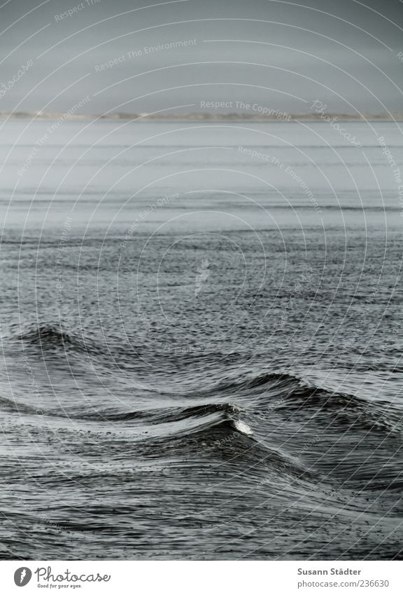 Spiekeroog Sea and You. Waves Ocean Dark Exterior shot Deserted Surface of water