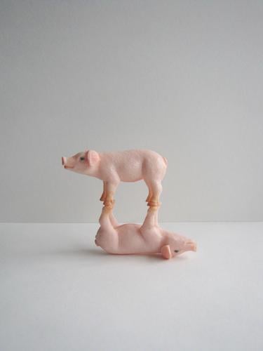 feat Animal Farm animal Swine 2 Touch Lie Stand Exceptional Together Funny Crazy Gray Pink White Emotions Moody Joy Happiness Bizarre Whimsical Surrealism