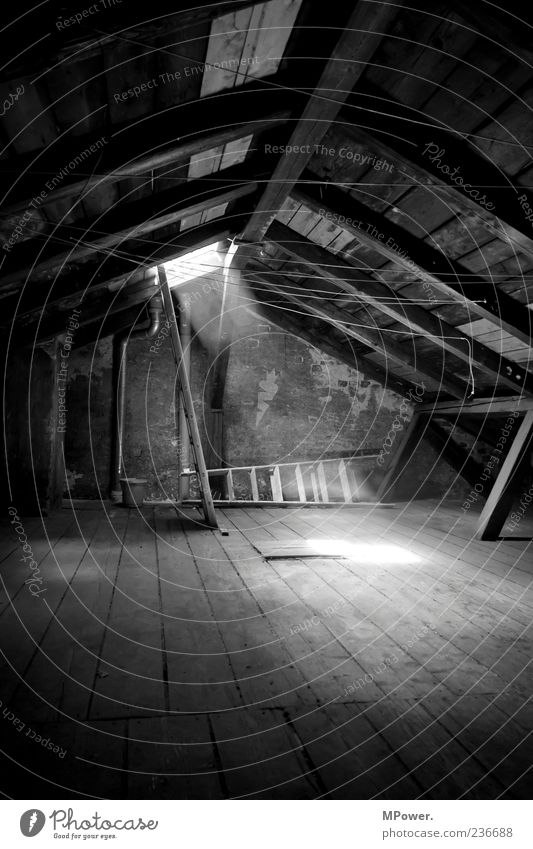 Attic II Stairs Roof Stone Concrete Wood Moody Calm Ladder Light Roof beams Clothesline Dust Tall Go up Attic story Illuminate Pearly Gates Floorboards Bucket