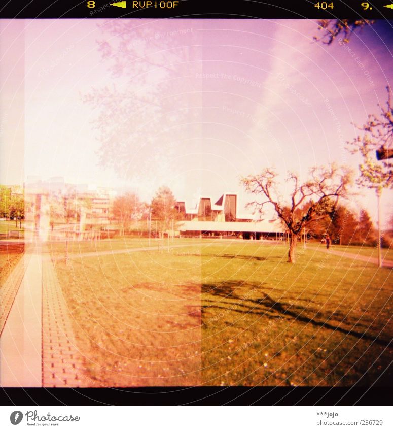 8 < RVP100F 404 9. < Würzburg Pink Architecture Meadow Modern architecture Violet Cross processing Analog Tree Manmade structures Building Town Lanes & trails